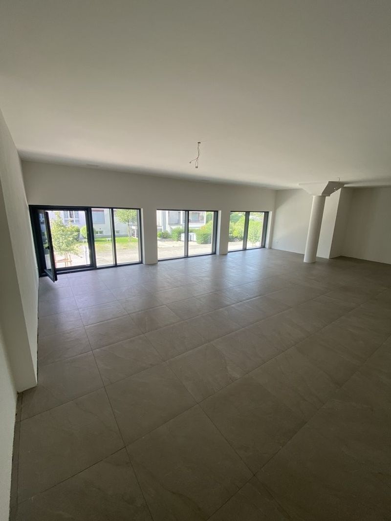 Attraktive Büro-/Gewerbefläche im Neubau, Erstbezug in Luzern/Littau - 2