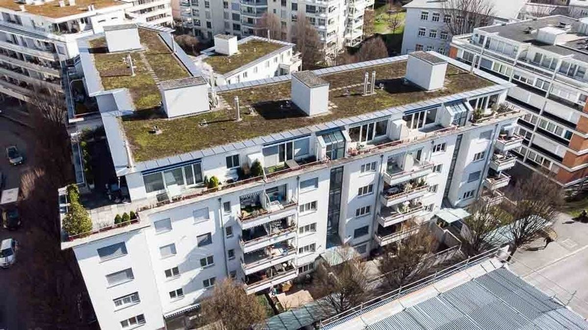 Single Wohnung sucht neuen Mieter - 0