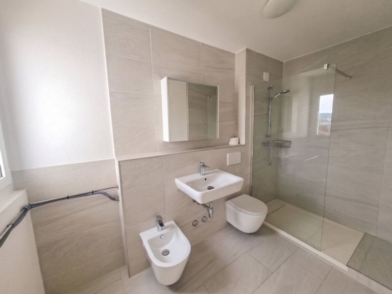 Geräumige 4.5-Zimmer Attikawohnung mit Aussicht in Basel zur Miete - 5