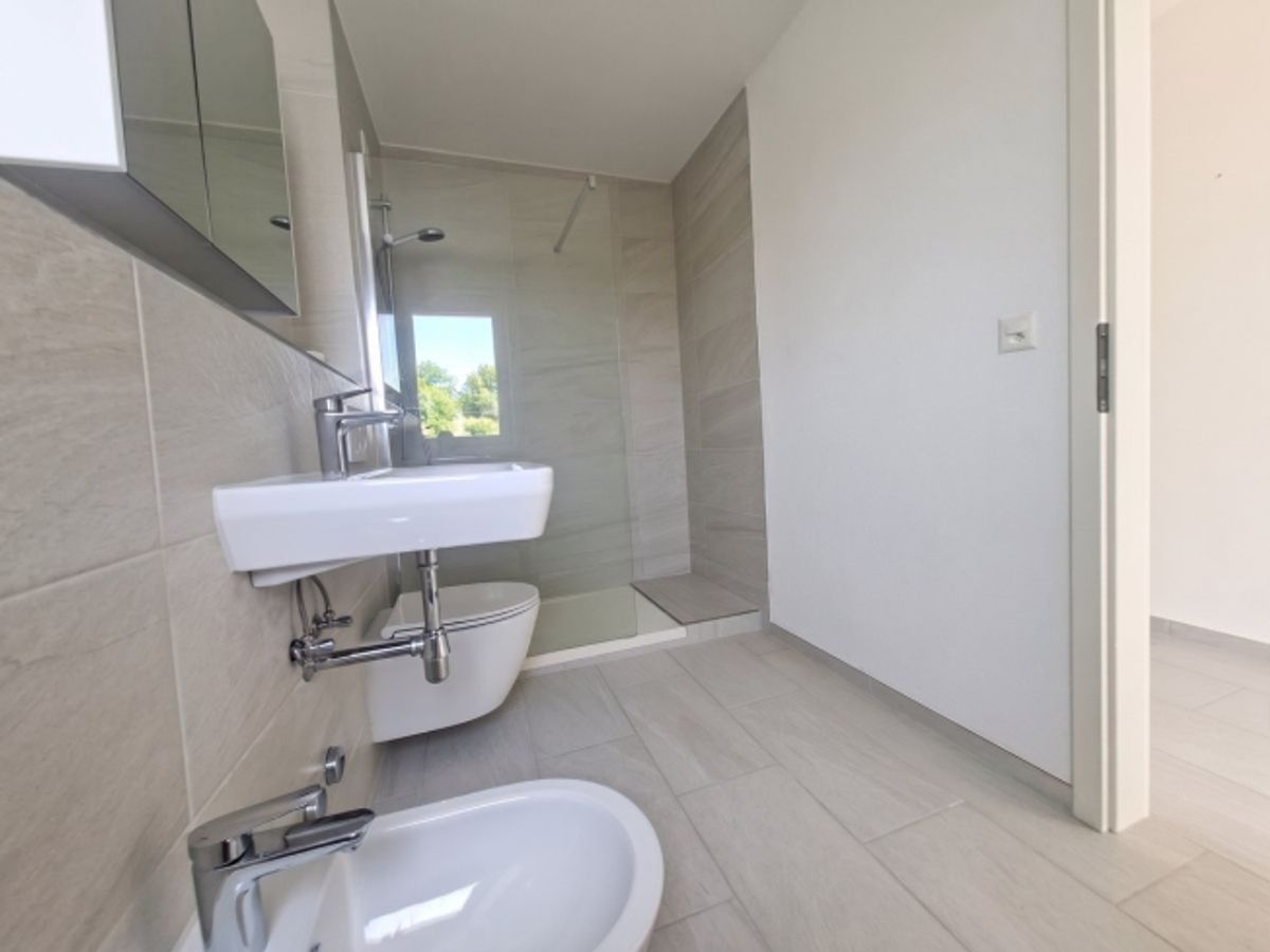 Geräumige 4.5-Zimmer Attikawohnung mit Aussicht in Basel zur Miete - 5