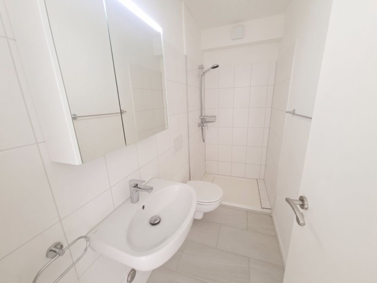 Geräumige 4.5-Zimmer Attikawohnung mit Aussicht in Basel zur Miete - 6