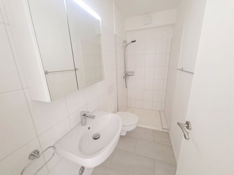 Geräumige 4.5-Zimmer Attikawohnung mit Aussicht in Basel zur Miete - 7