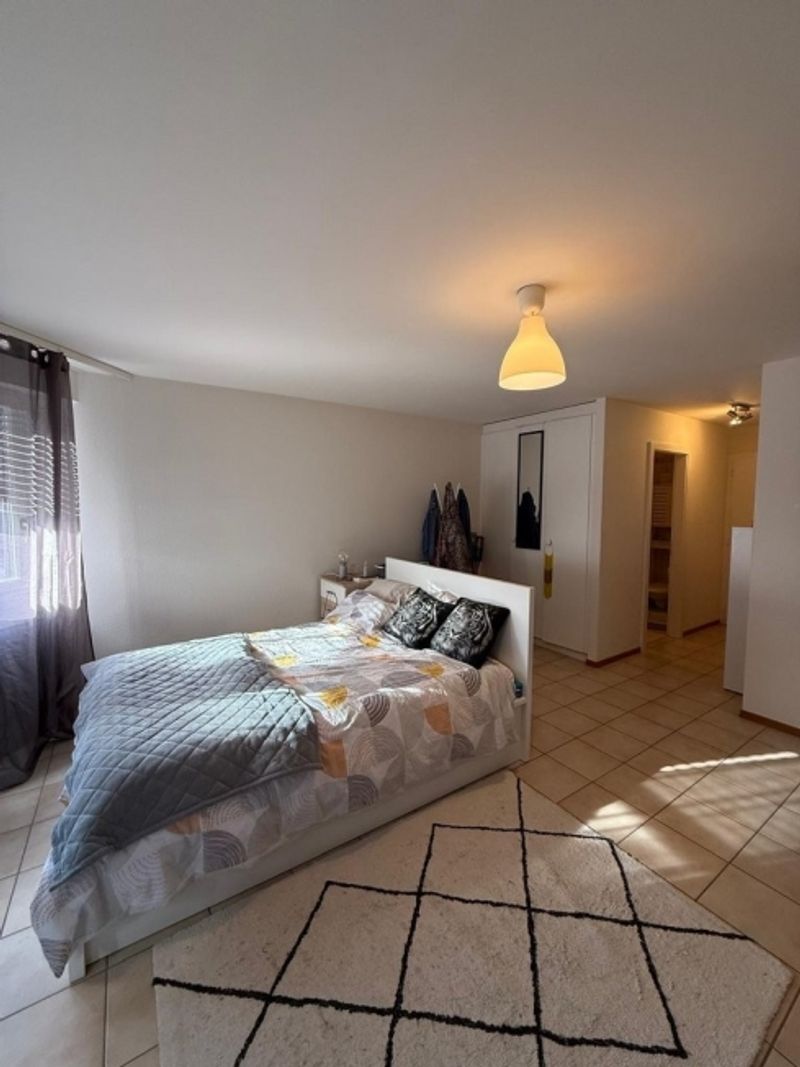 A saisir ! Splendide studio à deux pas du lac ! - 3