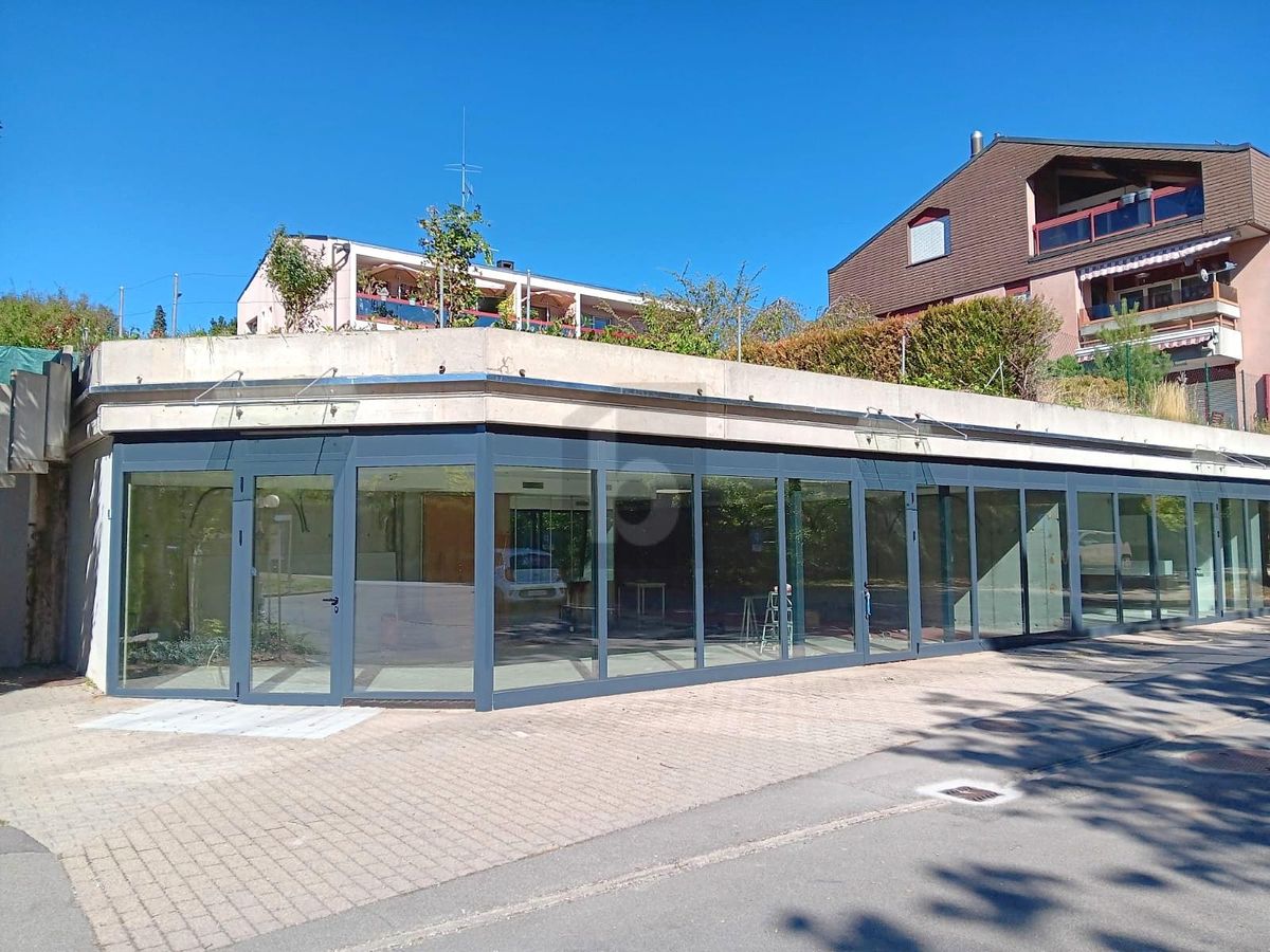 GRANDS ESPACES MODULABLES LUMINEUX ! - 0
