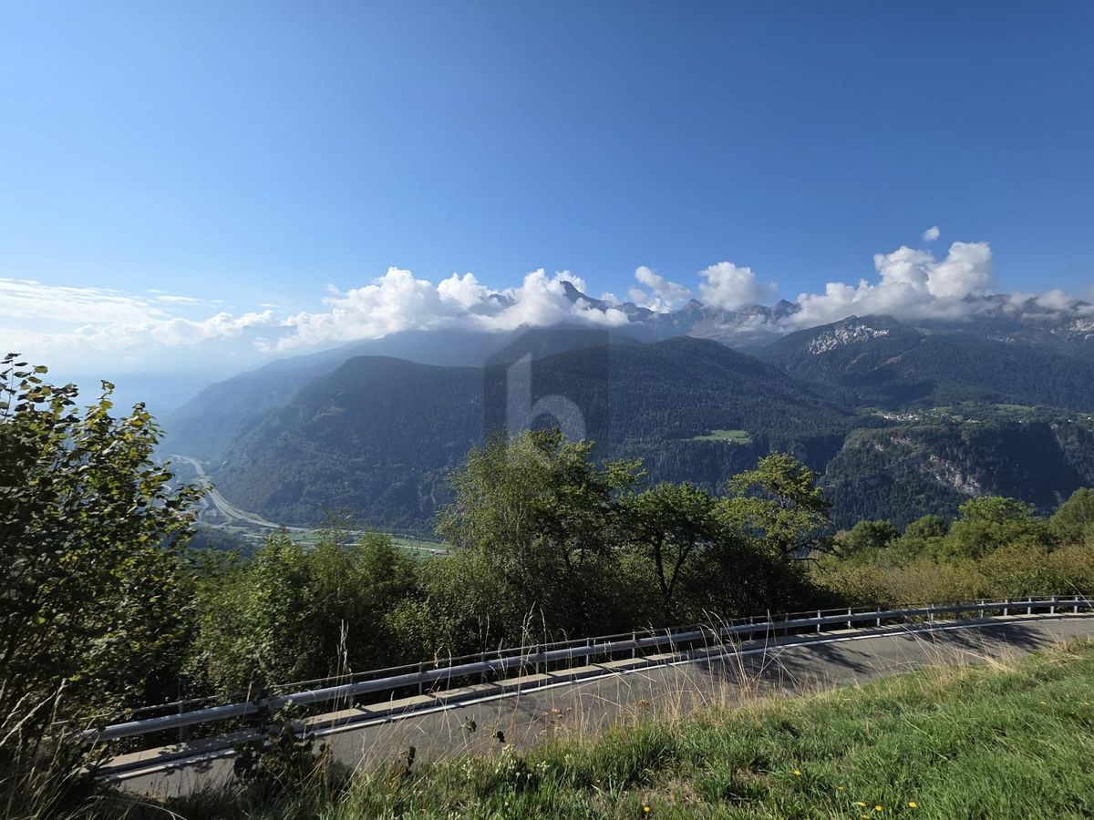IN POSIZIONE SOLEGGIATA - 1
