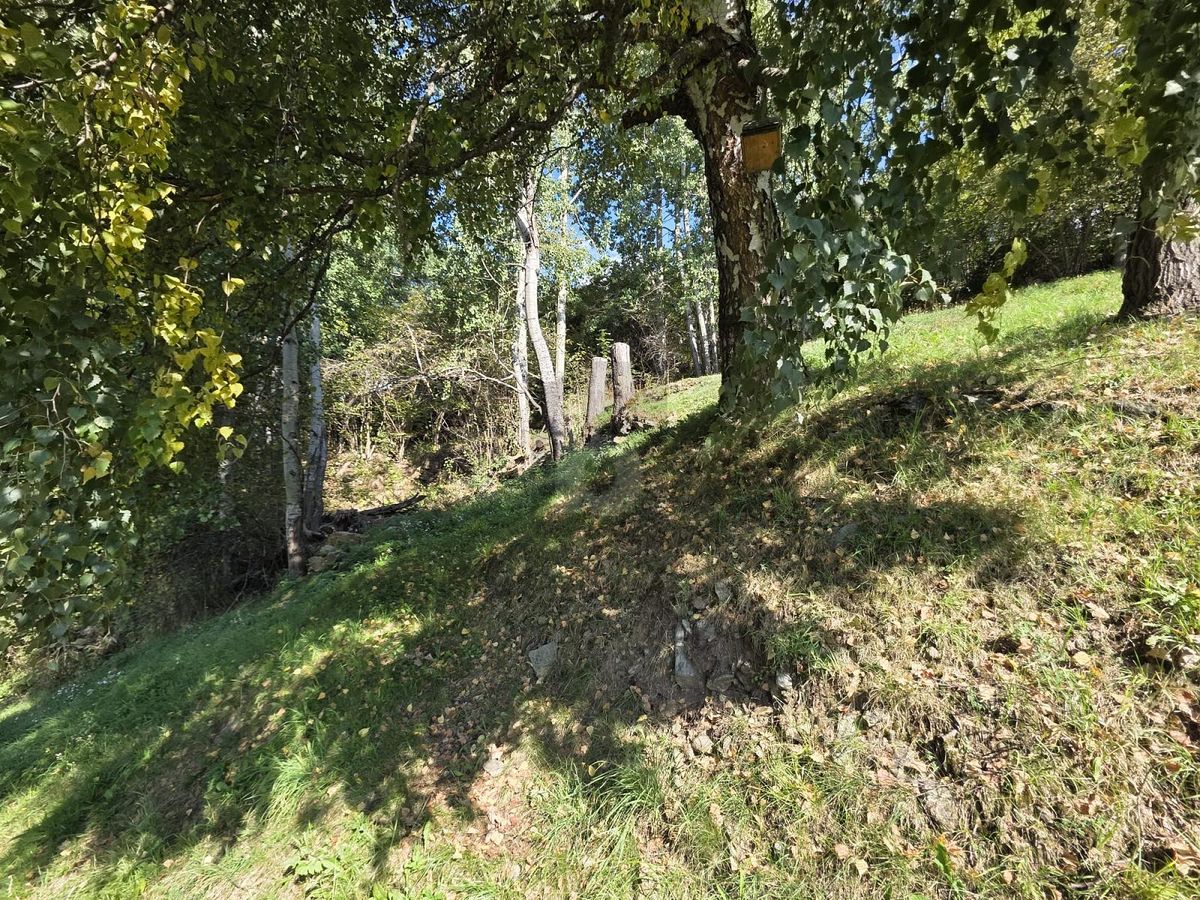 IN POSIZIONE SOLEGGIATA - 3