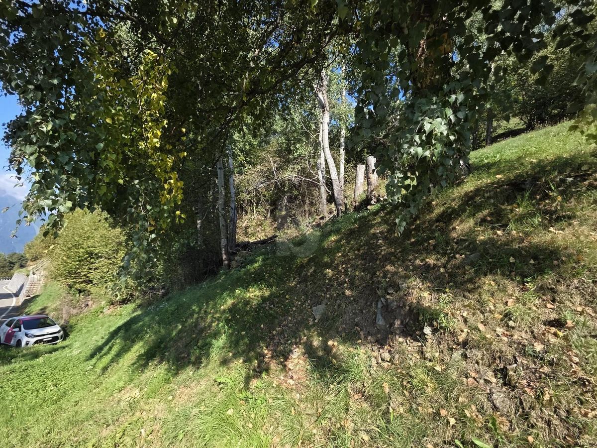 IN POSIZIONE SOLEGGIATA - 4