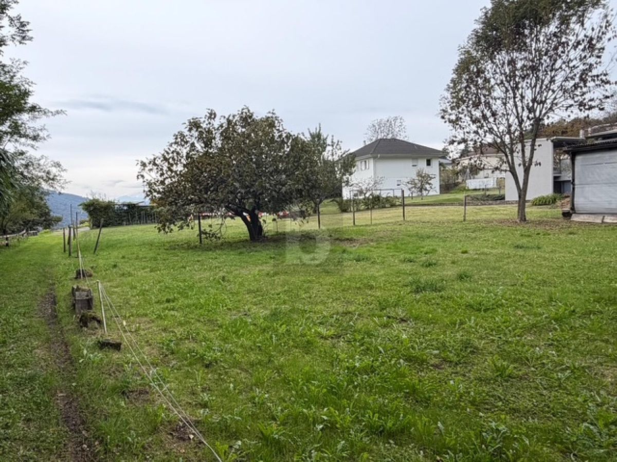 TRANQUILLO, SOLEGGIATO & IN POSIZIONE IDEALE - 0