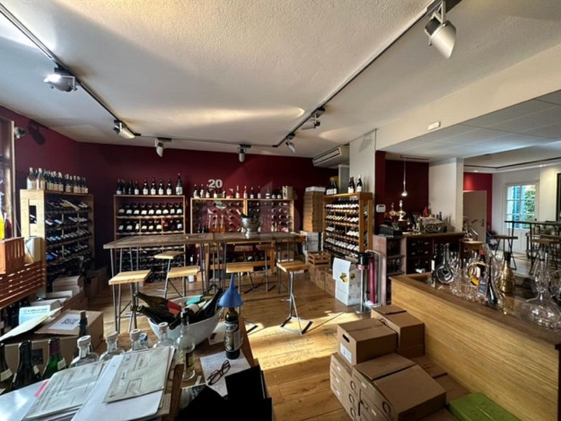 CAVE À VIN PRESTIGIEUX, QUARTIER CHARMANT, CAROUGE - 2