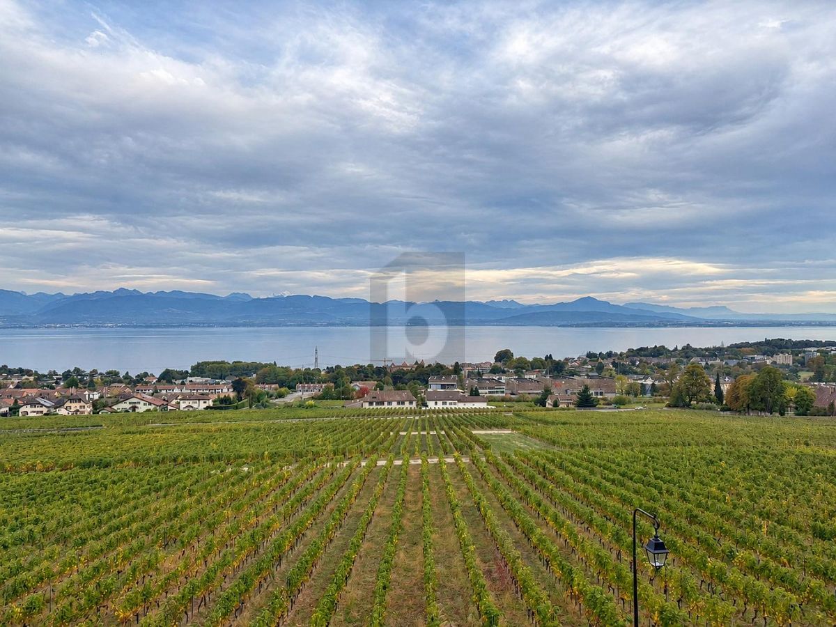 AVEC VUE PANORAMIQUE SUR LE LÉMAN - 1