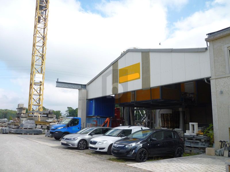 HALLE RARE, PRO ET STRATÉGIQUE - 1
