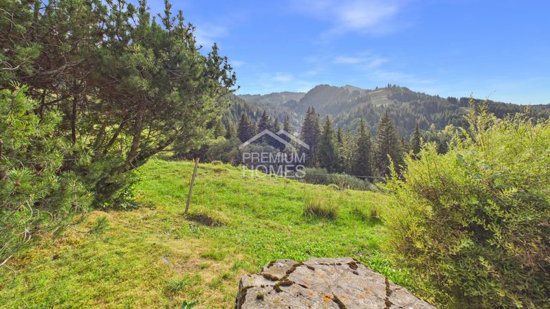 Einmalige Aussicht in ruhiger, naturnaher Lage - 1