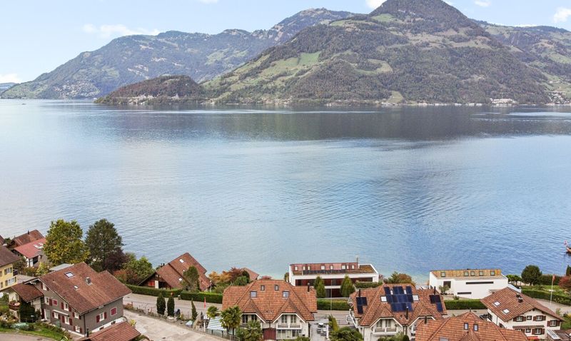 Grosszügiges Wohnen mit traumhafter Sicht auf See und Berge - 2