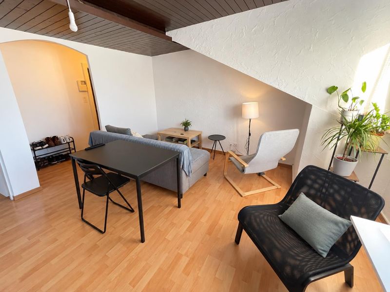2.5 Zimmer Dachwohnung - 1