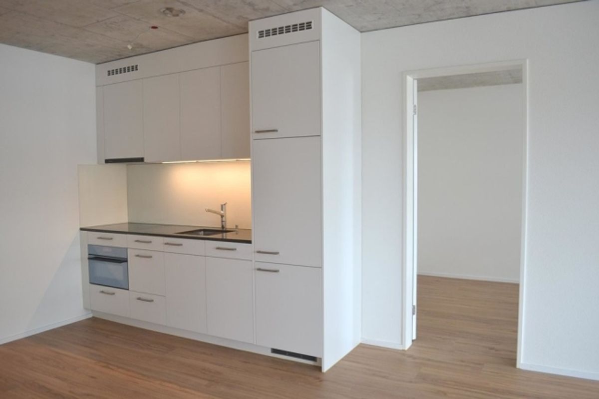 Moderne 2.5-ZWG mit riesiger gemeinsamer Dachterrasse - 1