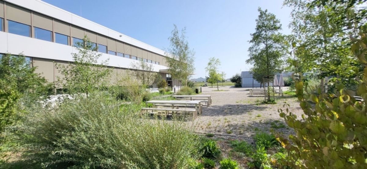 Jetzt auch Teilflächen - 175 m² Bürofläche in Luterbach! - 8