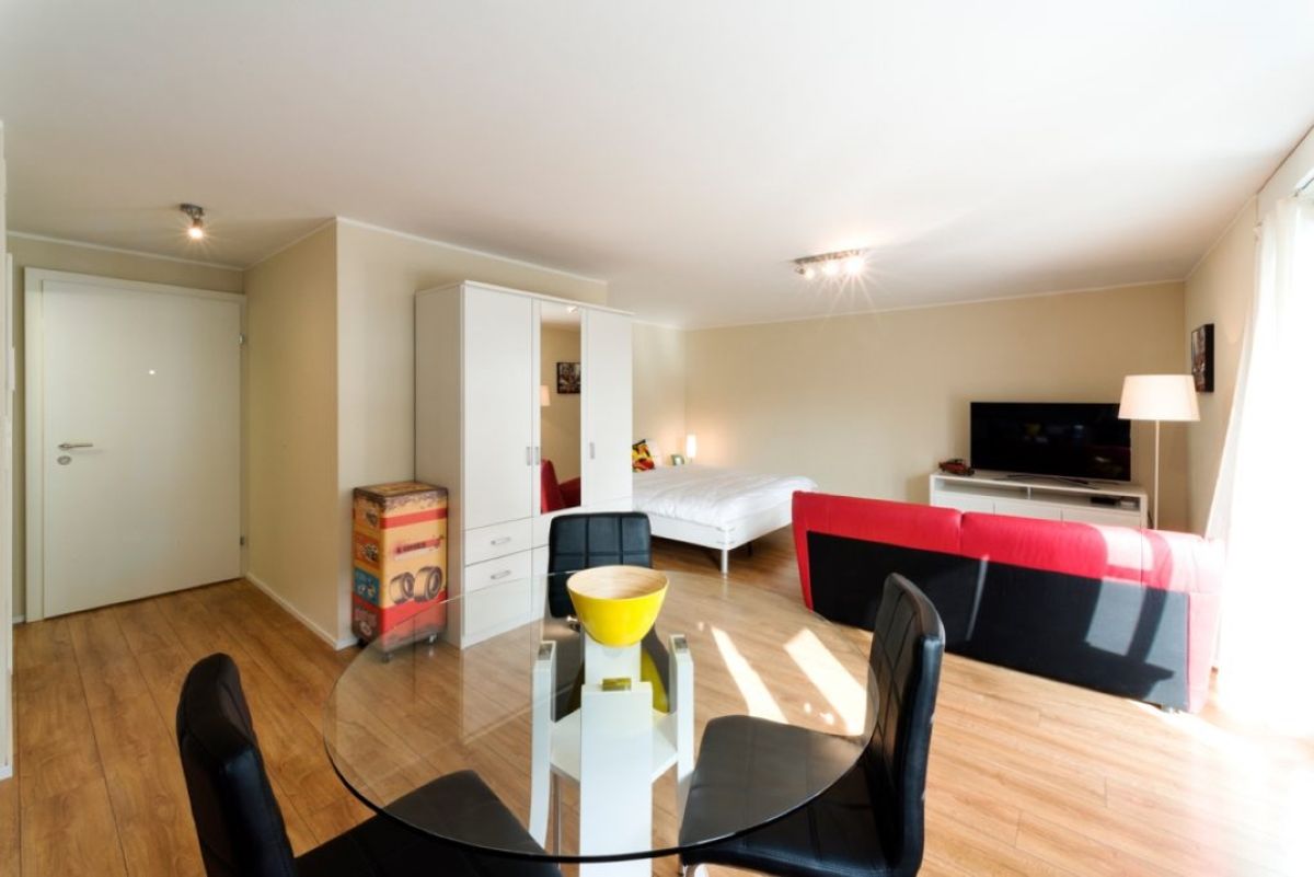 Saturn – 1.5 Room Apartment in Wallisellen - 1