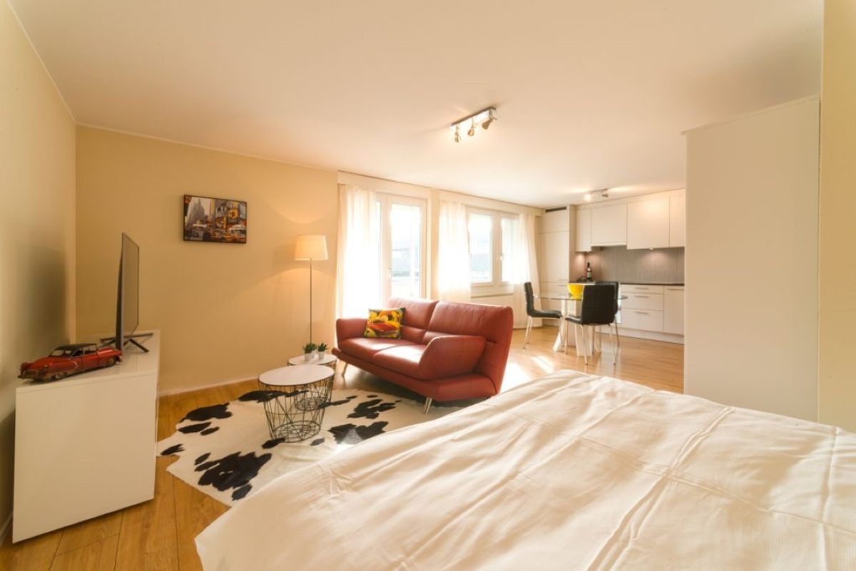 Saturn – 1.5 Room Apartment in Wallisellen - 2