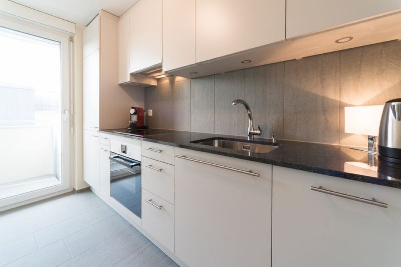 Venus – One-Bedroom Apartment in Wallisellen - 4